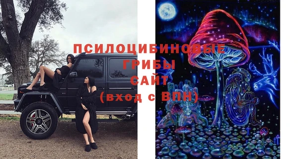 хмурый Куйбышев