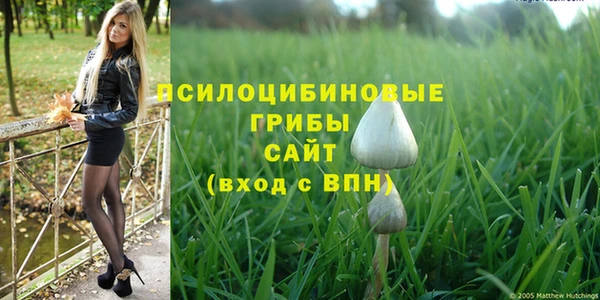 прущий лед Кукмор