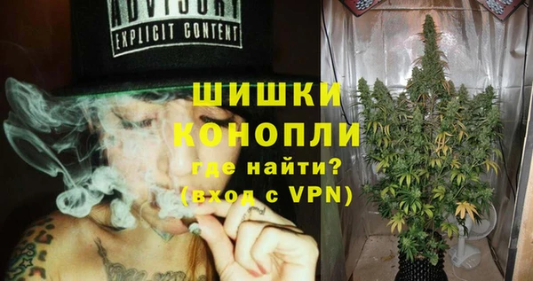 гидра Кулебаки
