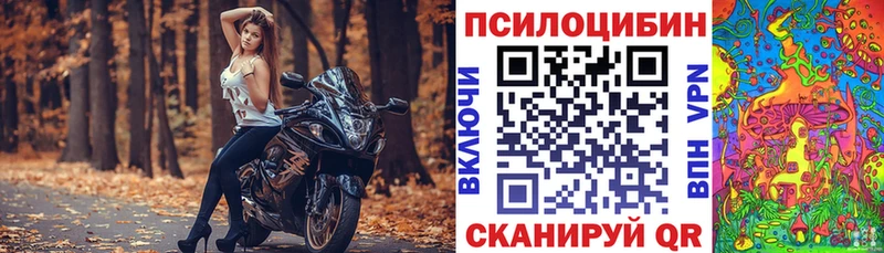 магазин  наркотиков  Сураж  Галлюциногенные грибы прущие грибы 